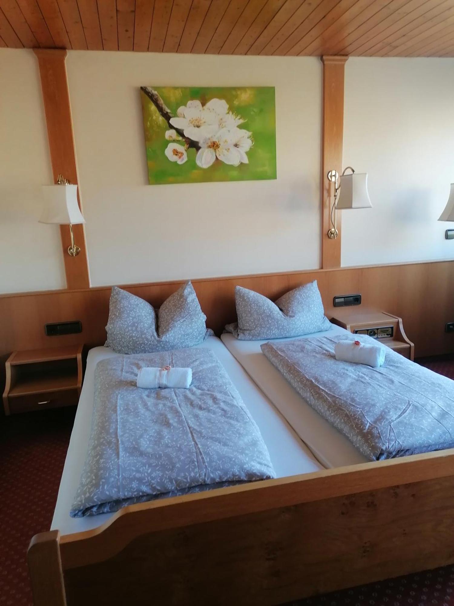 Hotel-Restaurant Rebstock 伊林根 外观 照片